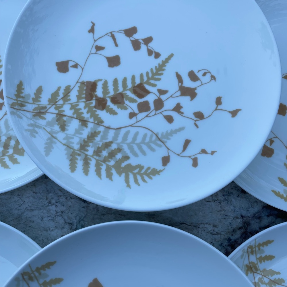Six Mikasa 6” plates one china “Lacy fern” - Picture 4 of 6